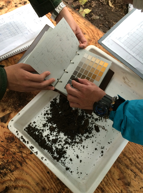 株式会社トシ・ランドスケープ