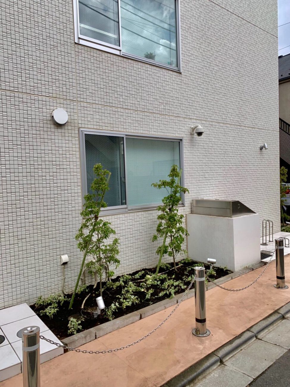 常緑ヤマボウシ ビンカマジョール 植え替え後 外構植栽 マンション