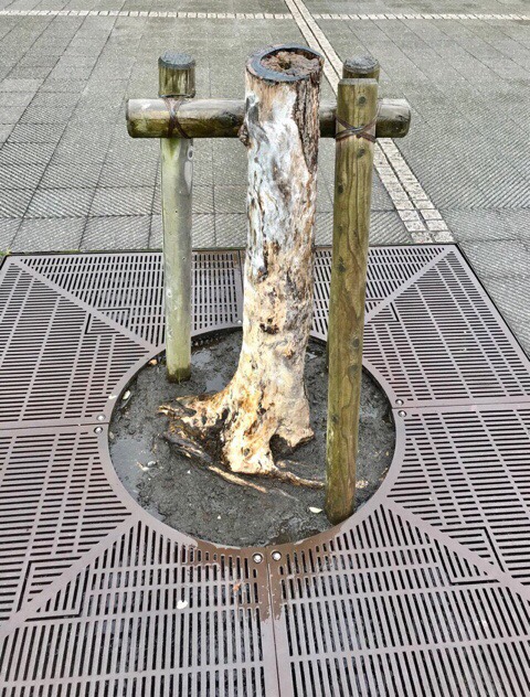 株式会社トシ・ランドスケープ