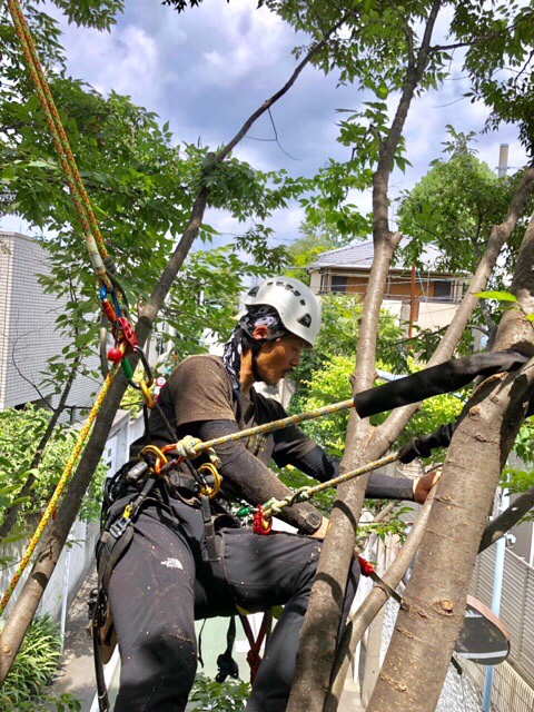 株式会社トシ・ランドスケープ(New)