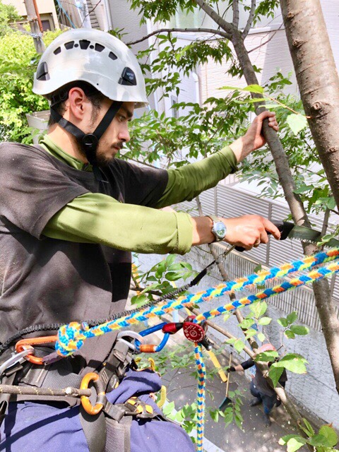 株式会社トシ・ランドスケープ(New)