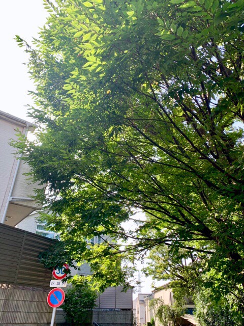 株式会社トシ・ランドスケープ(New)