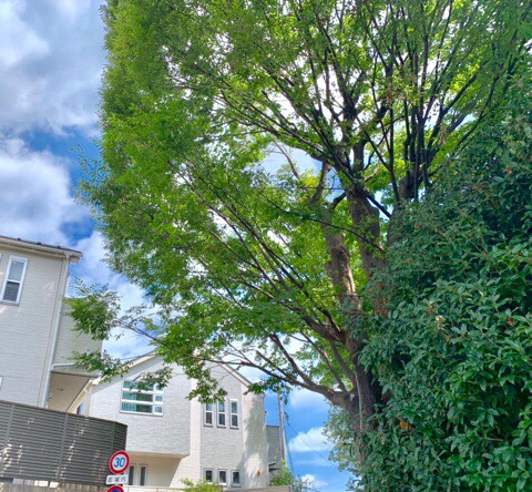 株式会社トシ・ランドスケープ(New)