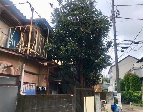 株式会社トシ・ランドスケープ