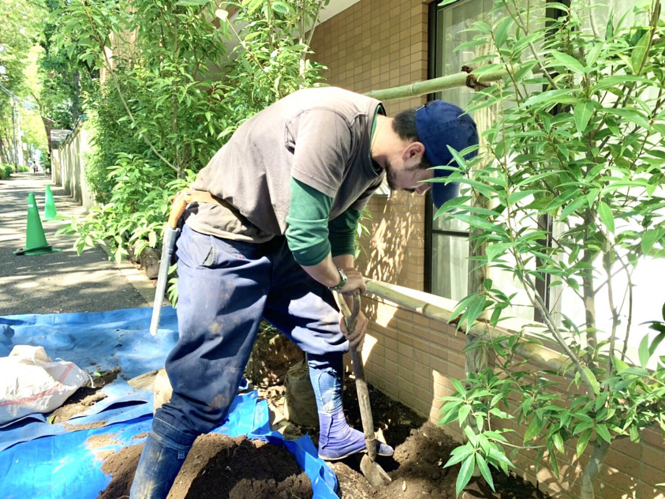 埋め戻し スコップ 植え付け 生垣 植え替え工事