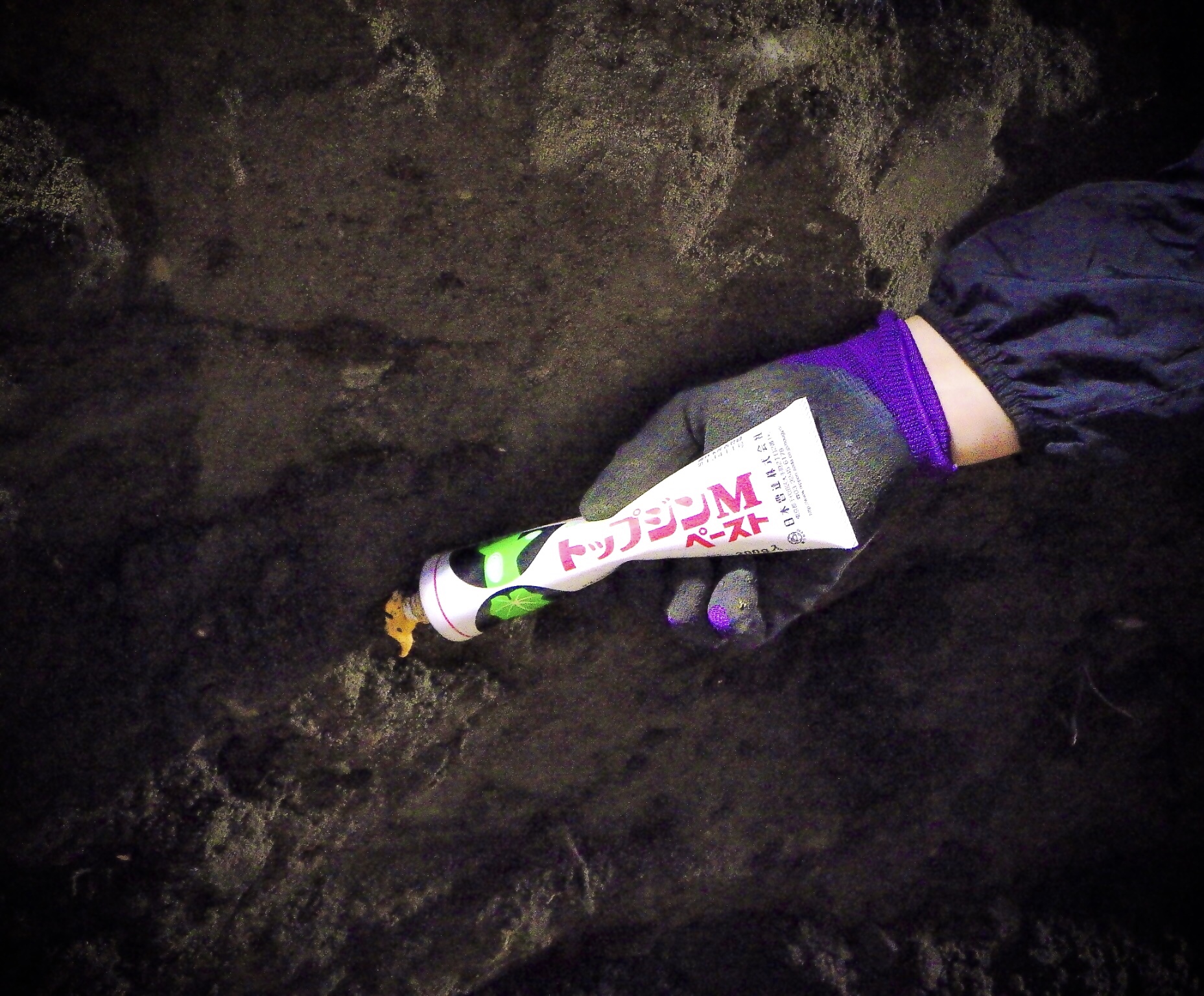 株式会社トシ・ランドスケープ