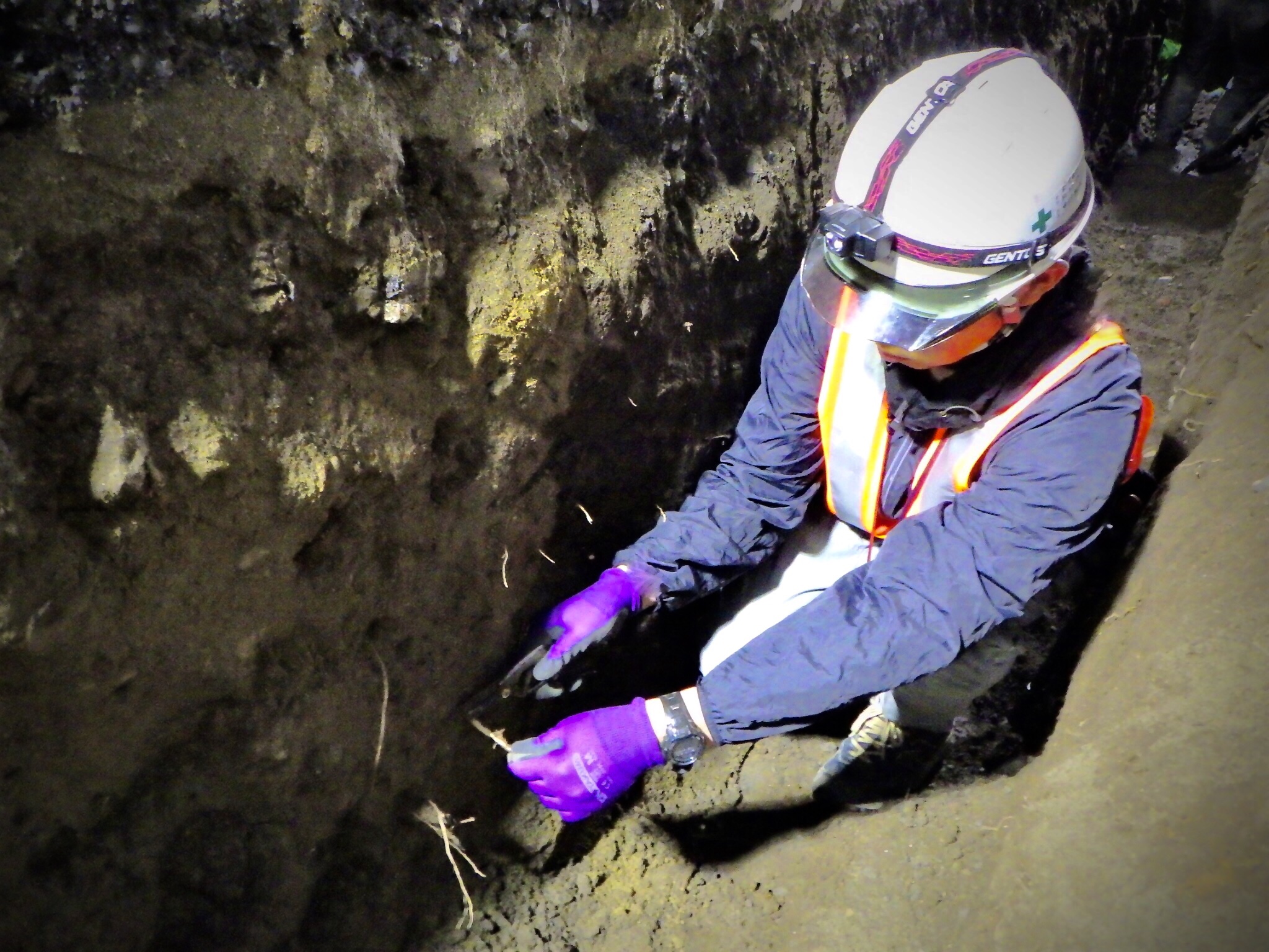 株式会社トシ・ランドスケープ