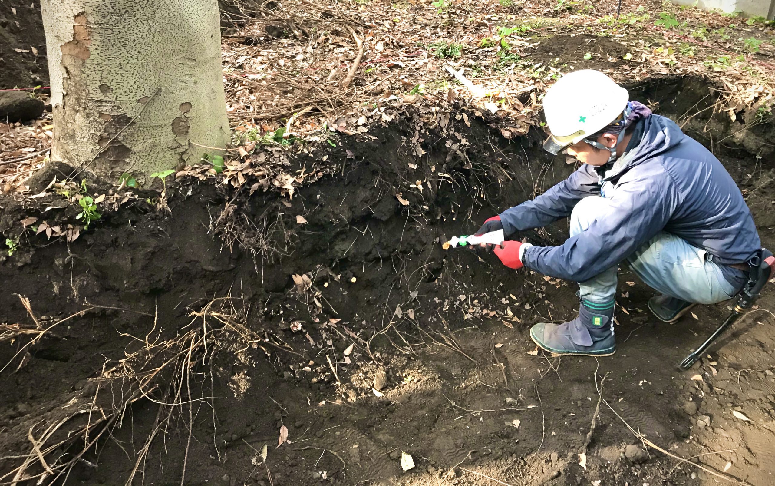 株式会社トシ・ランドスケープ