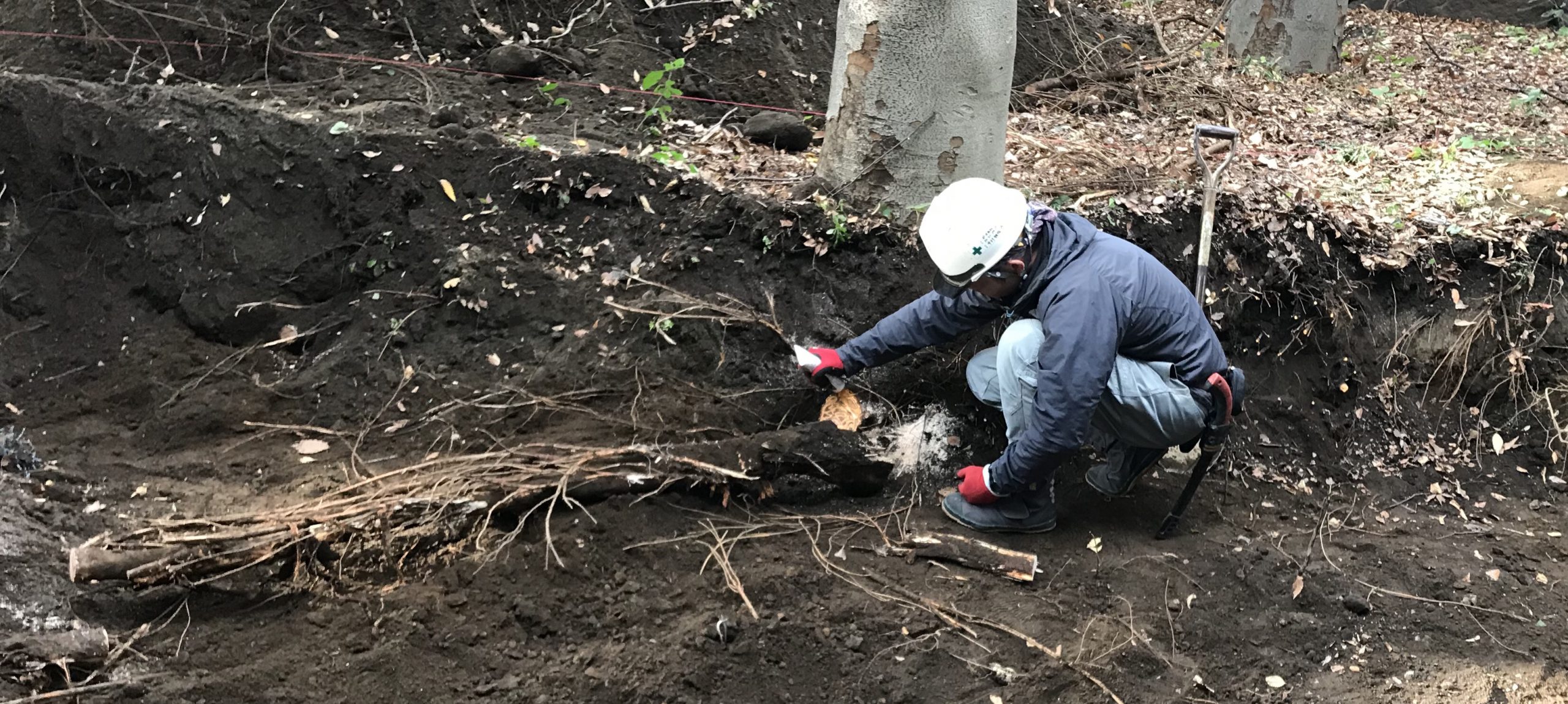 株式会社トシ・ランドスケープ