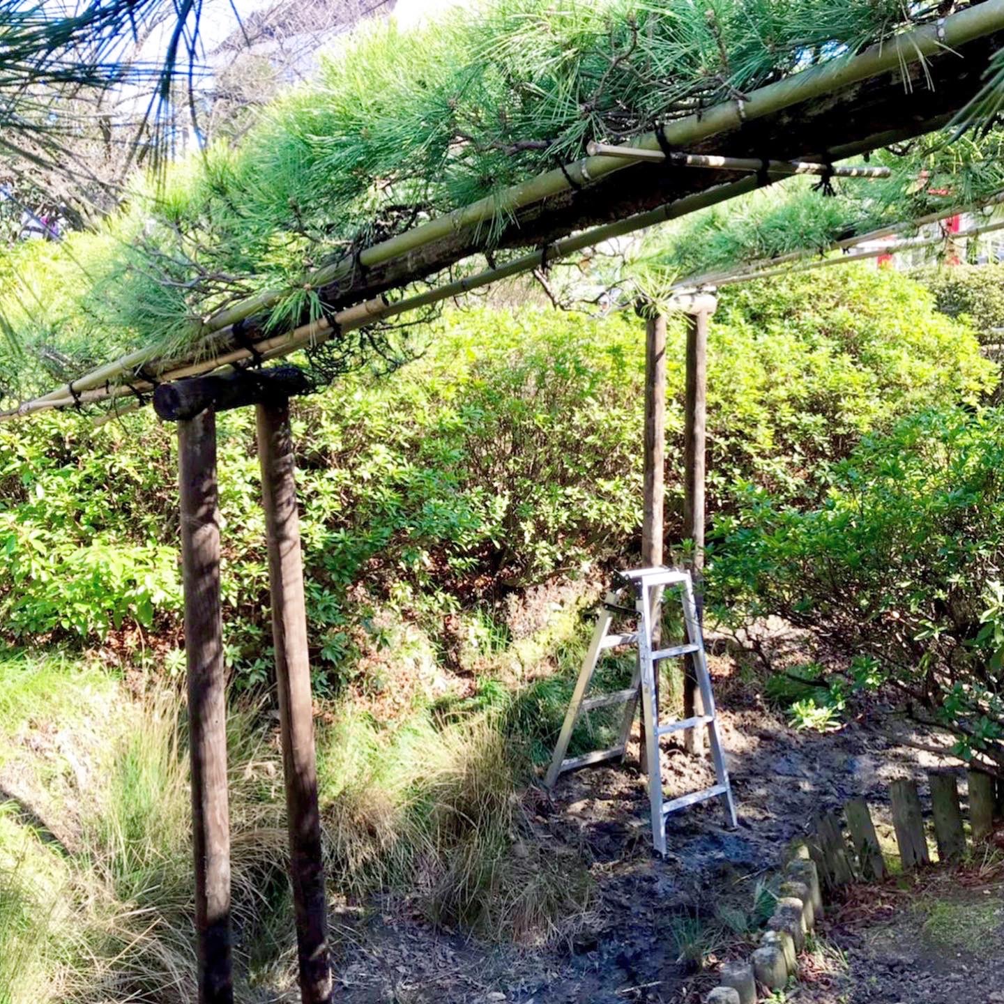 株式会社トシ・ランドスケープ(New)