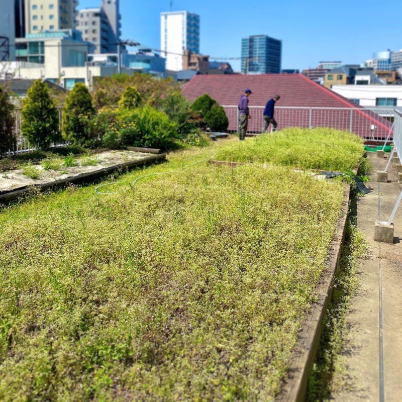 株式会社トシ・ランドスケープ(New)