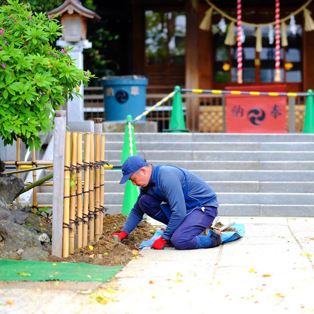 竹 切り口 根元 土壌改良 割竹挿入法 神社