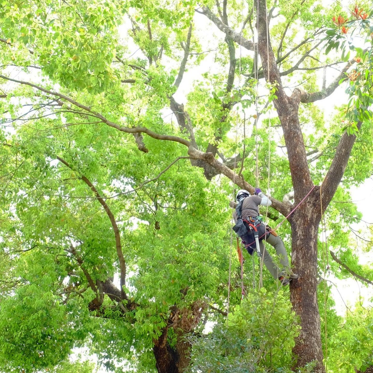 株式会社トシ・ランドスケープ