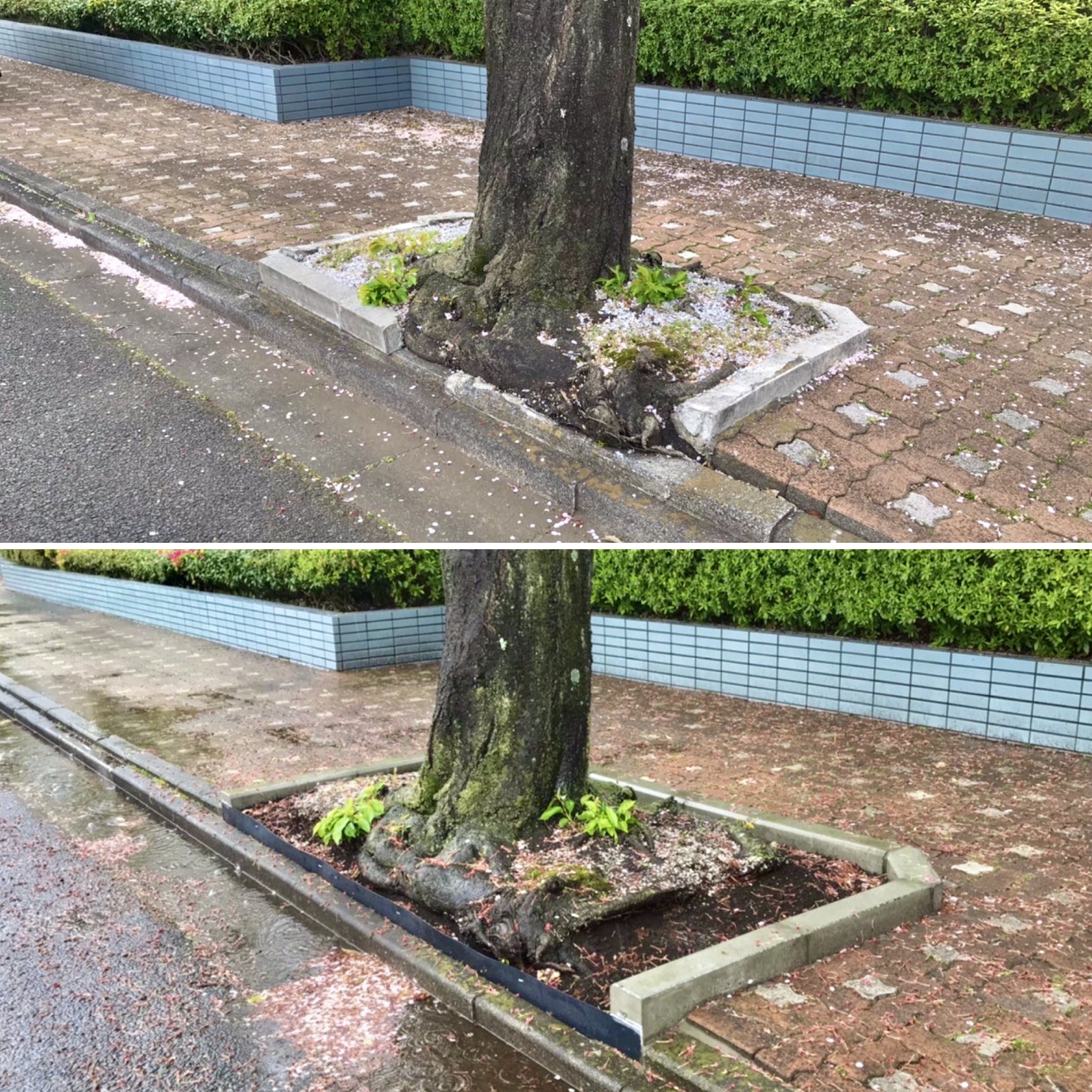 株式会社トシ・ランドスケープ(New)