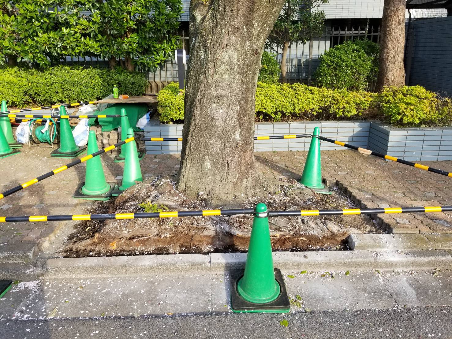 株式会社トシ・ランドスケープ(New)