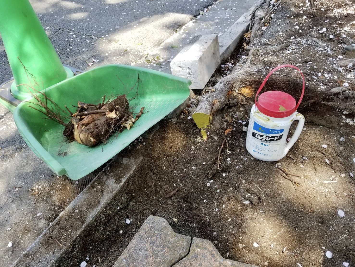 株式会社トシ・ランドスケープ(New)