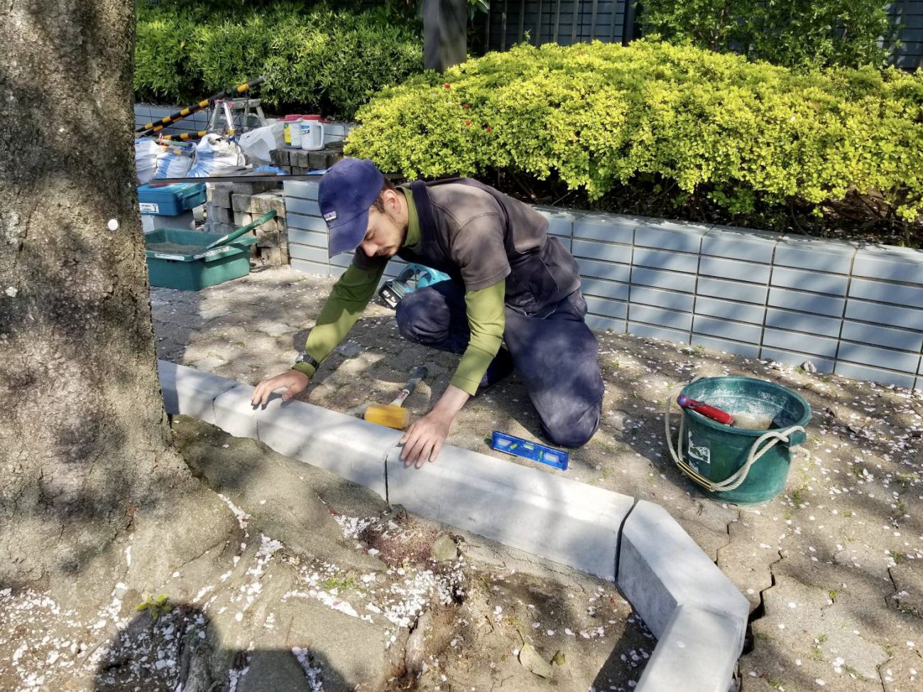 縁石 据え付け 水平確認 植樹桝 拡張工事 サクラ