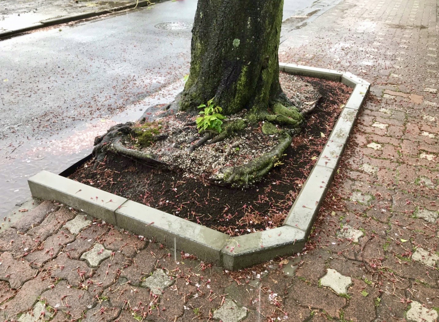 株式会社トシ・ランドスケープ(New)