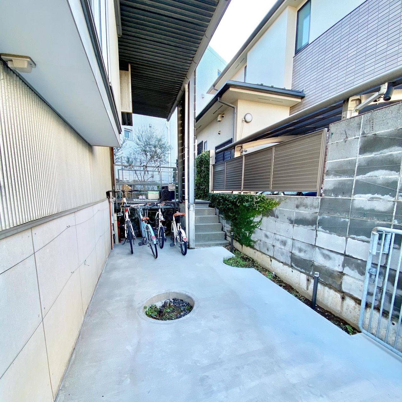 植え桝 土間コンクリート 施工前 植栽工事 目黒区