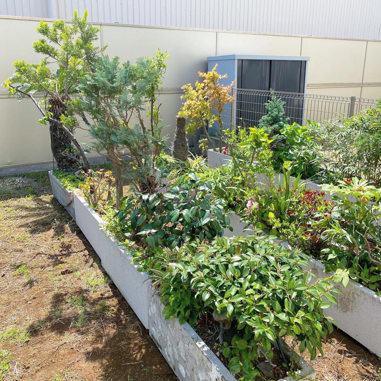 プランター 設置完了 植栽 新居 植物 引っ越し