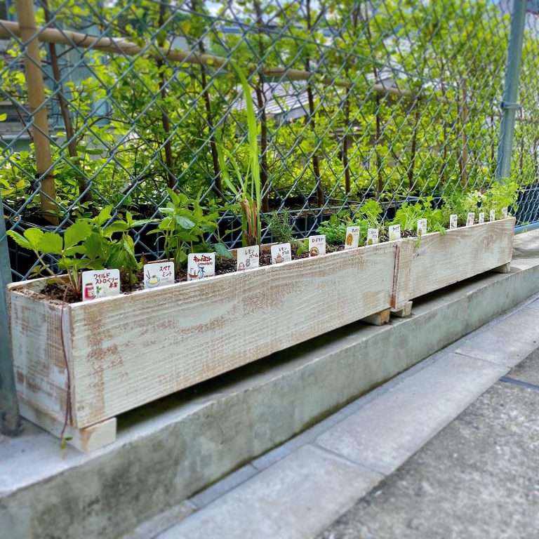 木製プランター 苗 名札 植え付け