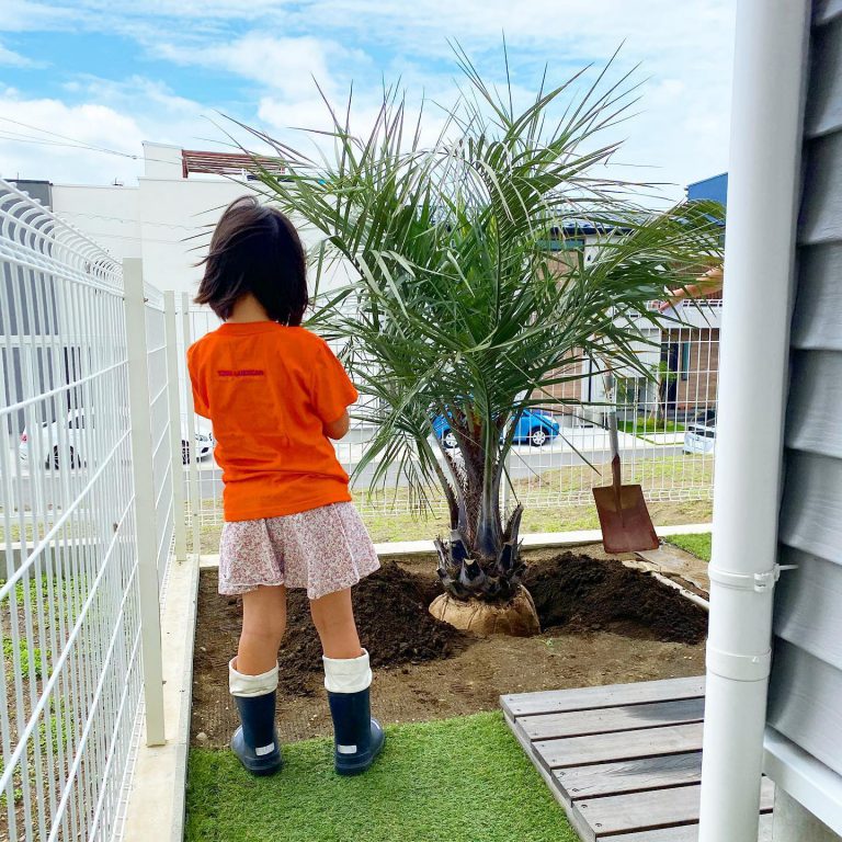 ヤシ 植栽 子ども スコップ 芝生