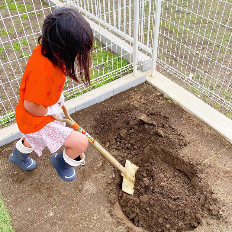 子ども スコップ 植え穴 土 職業体験