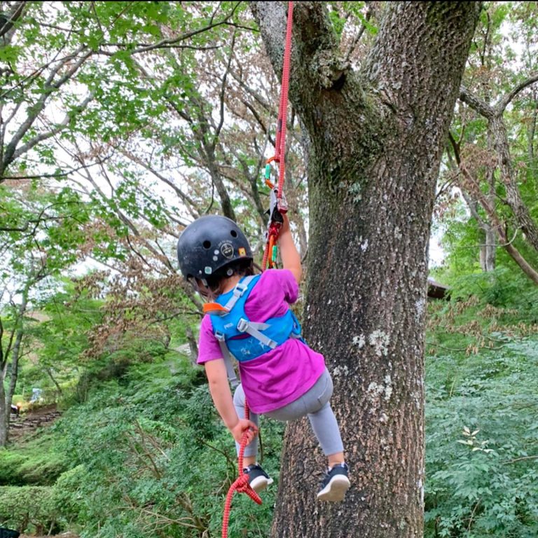 子ども ツリークライミング ロープ 幹 ヘルメット