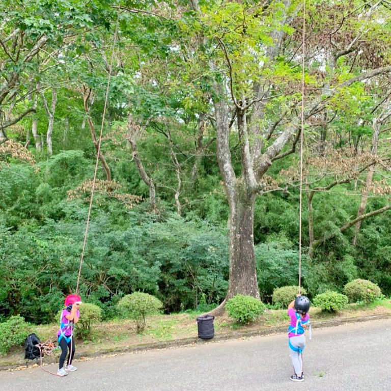 子ども ツリークライミング 大木 ロープ 職業体験