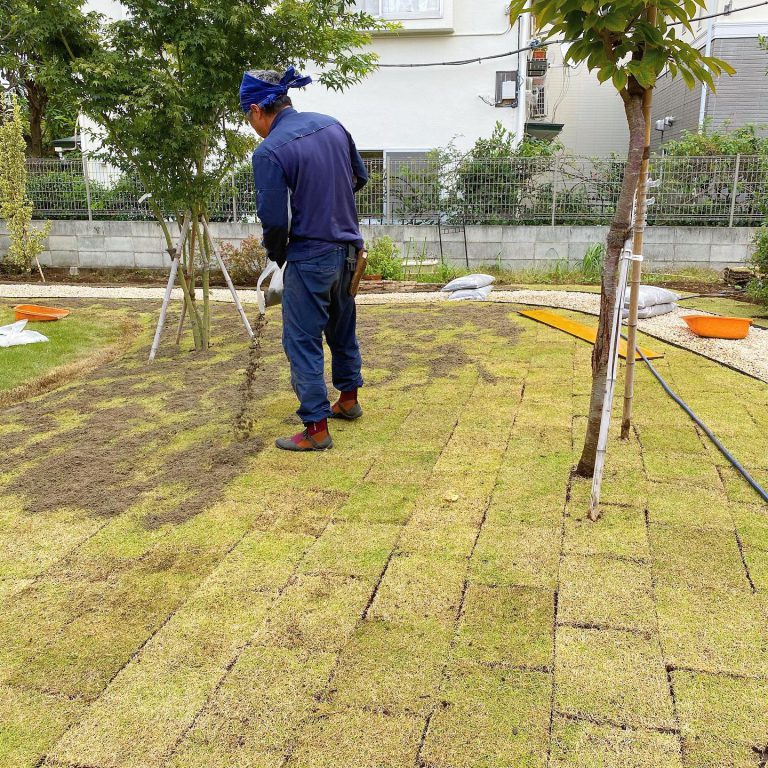芝張り 張芝 目地 庭 作業スタッフ
