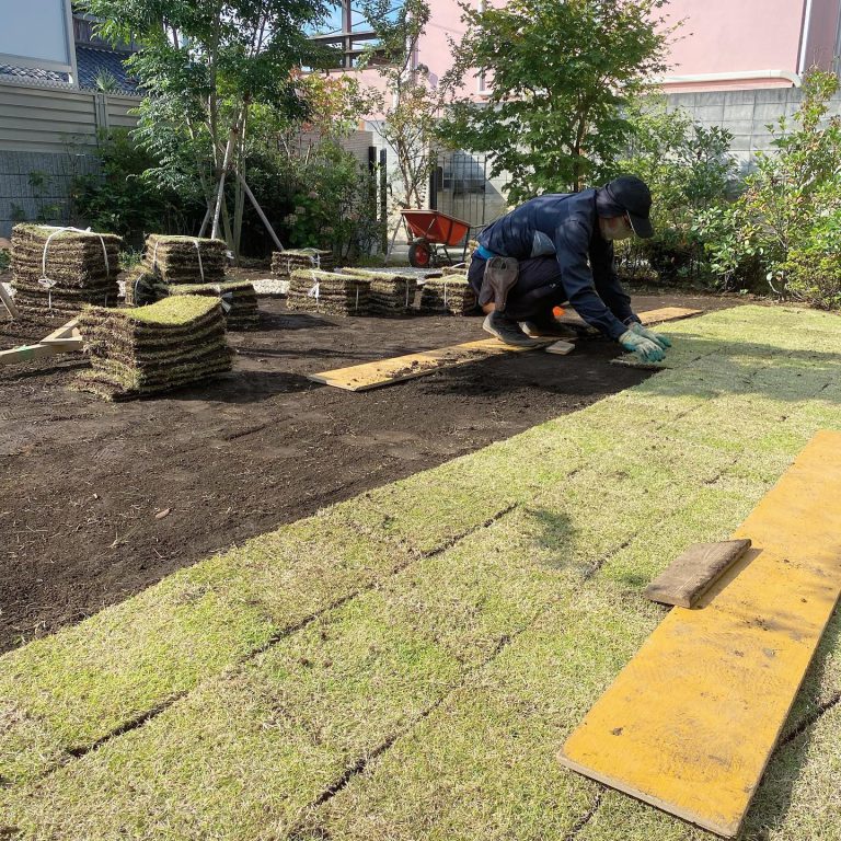 芝張り 切芝 敷き込み 土壌 作業スタッフ