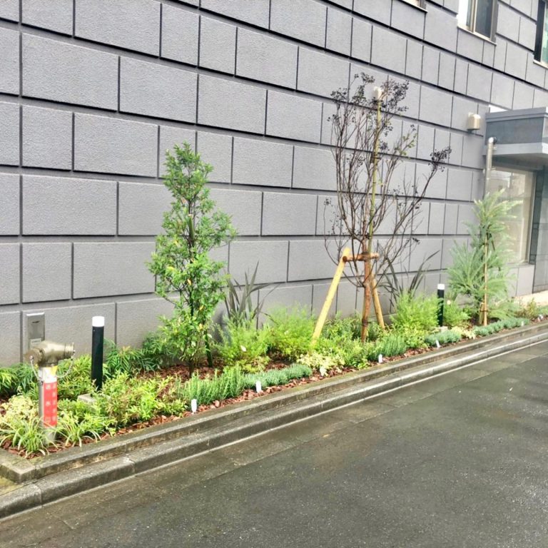 植栽帯 外壁 常緑樹 下草 足元灯