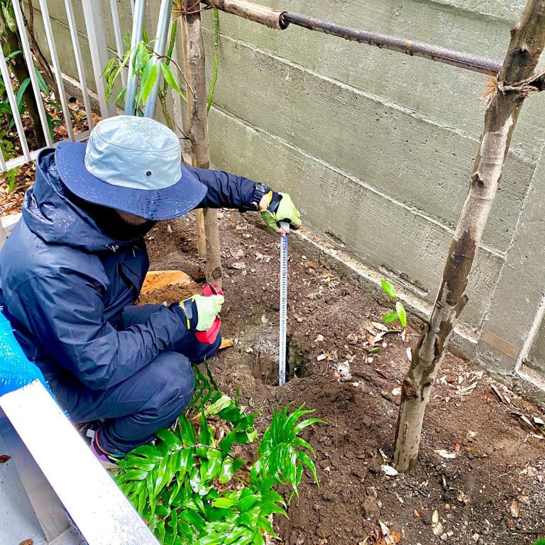 試掘 深さ 計測 スケール 植栽基盤