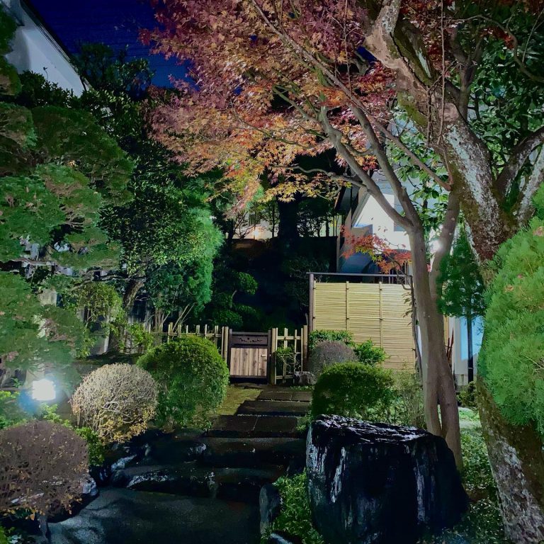 庭 ライトアップ 竹垣 夜景 日本庭園
