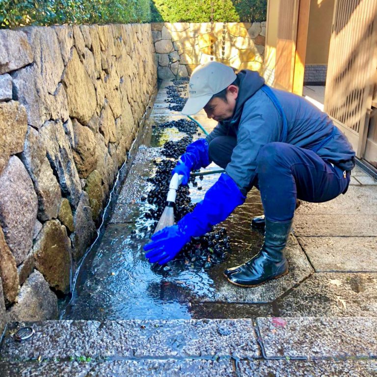 玉石 洗浄 ブラシ 犬走り 作業スタッフ