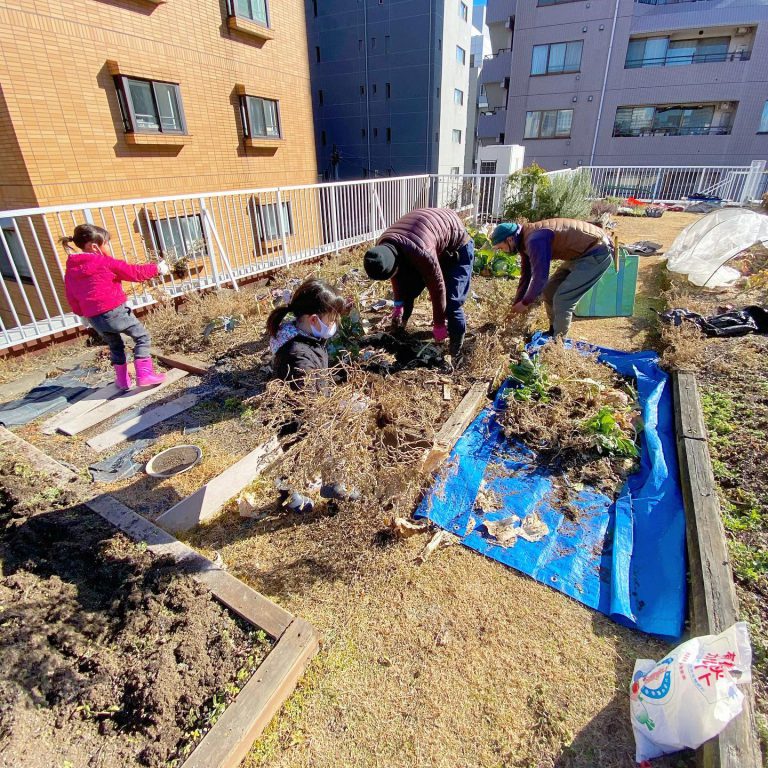 屋上 菜園 土づくり 子ども 作業スタッフ