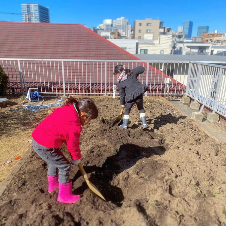 畑 土づくり スコップ 屋上 菜園