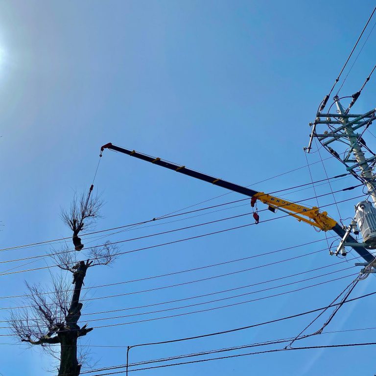 クレーン 電線 電柱 樹冠