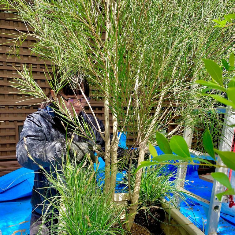 樹木 植え付け 植栽 ブルーシート 作業スタッフ