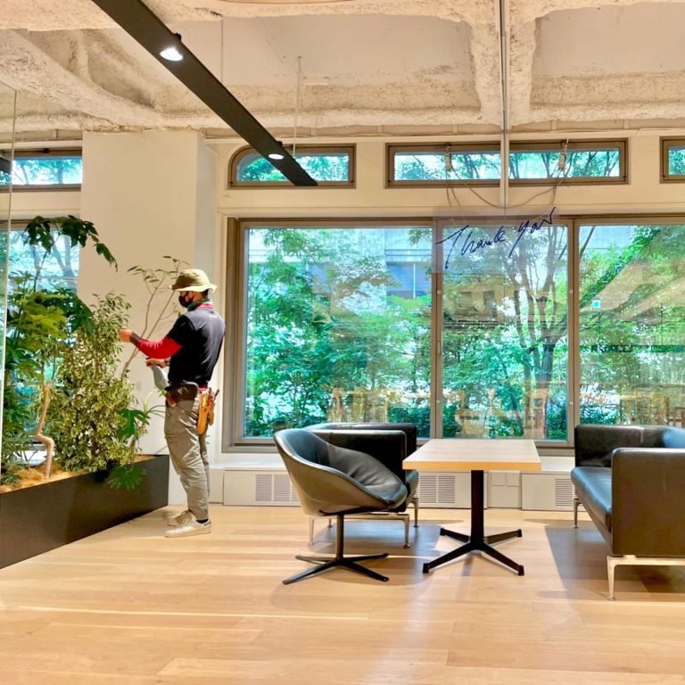 室内緑化 オフィス ラウンジ 観葉植物 メンテナンス 作業スタッフ