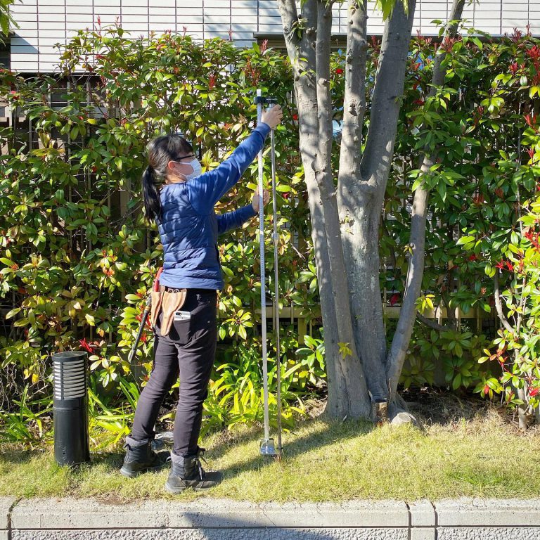 株立ち 樹高 計測 測桿 樹木診断