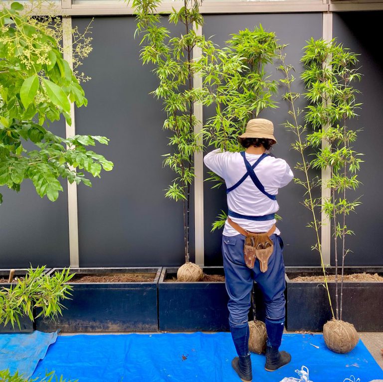 竹 植え付け プランター 根鉢 作業スタッフ