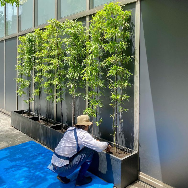竹 プランター 植栽 目隠し 作業スタッフ