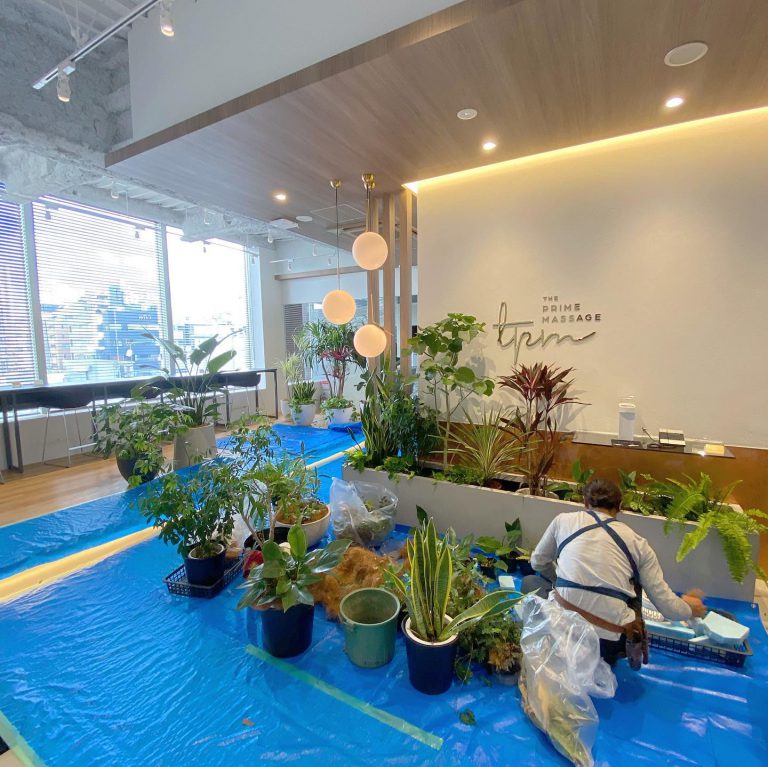 室内緑化 施工中 観葉植物 ブルーシート 作業スタッフ