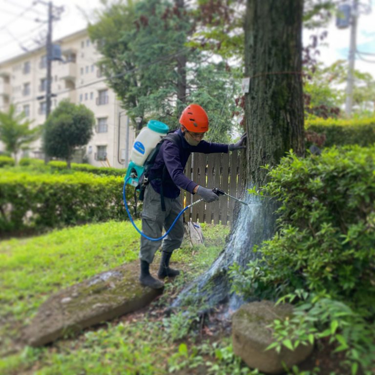 動力噴霧機 幹 散布 植え込み