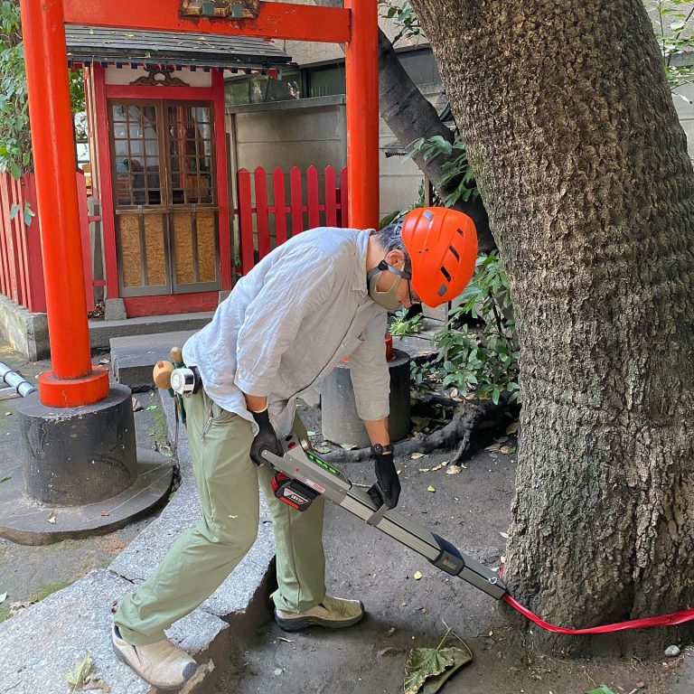 神社 根元 レジ 機器診断 大径木