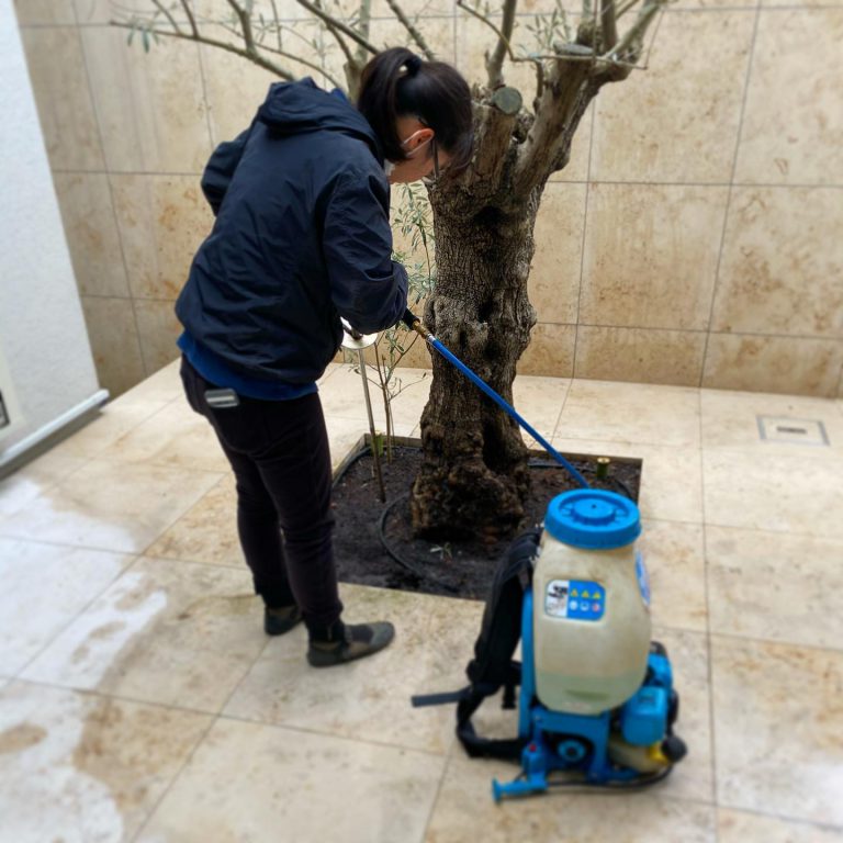 動力噴霧機 鉢植え 土壌改良 中庭