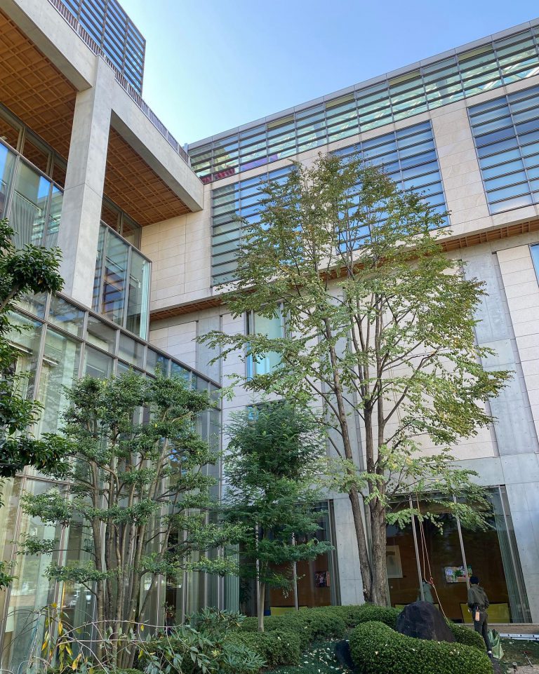 オフィスビル 植栽 高木 株立ち 緑地管理