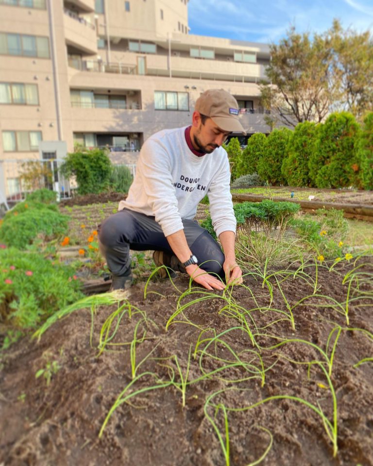 苗 植え付け 畝 菜園 作業スタッフ