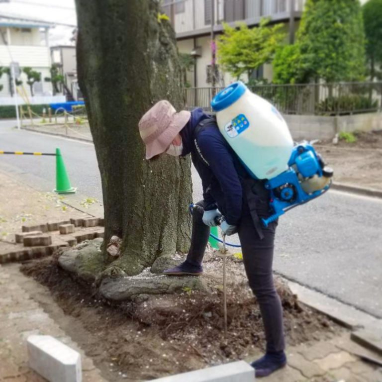 動力噴霧機 根元 土壌改良 街路樹 大径木